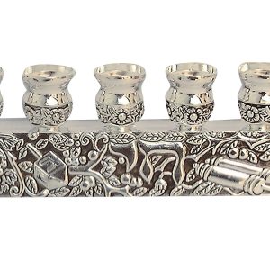 חנוכיה פיתוחים מיוחדת מוכספת "חי"