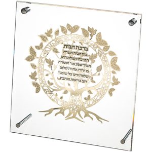 מסגרת פרספקס מהודרת עם פלקטה 23x24 ס"מ