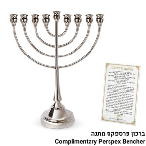 פריץ חנוכיה מתכת כסף 49סמ