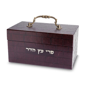 קופסא מהודרת לאתרוג דמוי עור עם ידית "כותל" 11x20x12 ס"מ