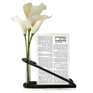 ברכת המזון