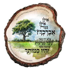 אילן, אילן – מתנה עם ברכה לאדם מיוחד